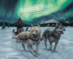 Balto & Togo von Gerstenberg Verlag