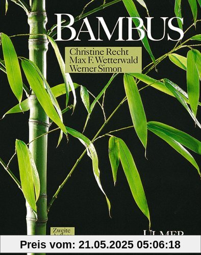 Bambus Bambus