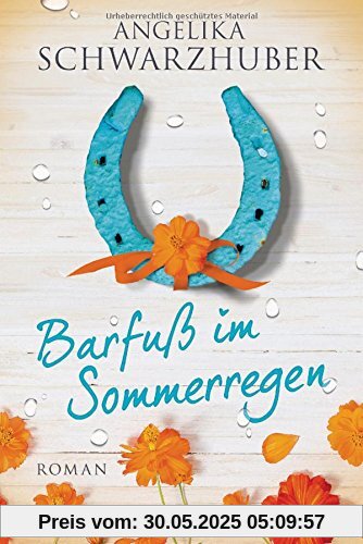 Barfuß im Sommerregen: Roman