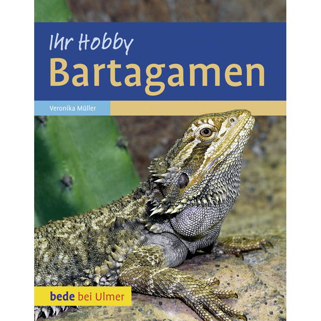 Bartagamen von Ulmer Eugen Verlag