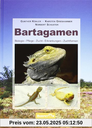 Bartagamen: Biologie, Pflege, Zucht, Erkrankungen, Zuchtformen