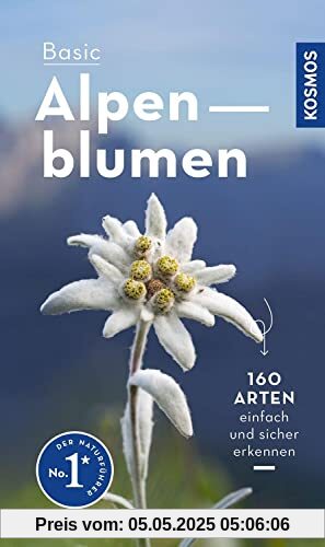 Basic Alpenblumen: einfach und sicher erkennen