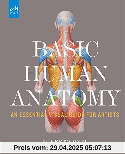 Basic Human Anatomy: An Essential Visual Guide for Artists