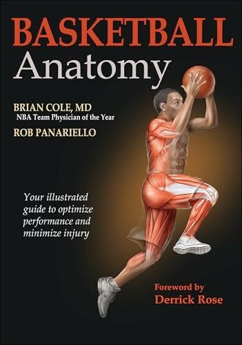 Basketball Anatomy Basketball Anatomy
