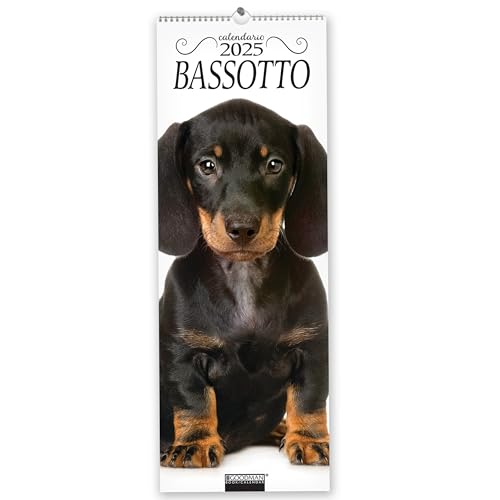 Bassotto. Calendario 2025. Long Bassotto. Calendario 2025. Long von Sprea Editori