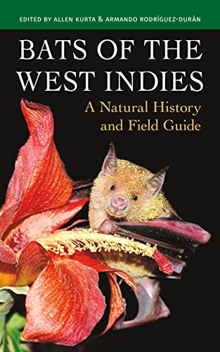 Bats of the West Indies: A Natural History and Field Guide von Comstock Publishing Associates