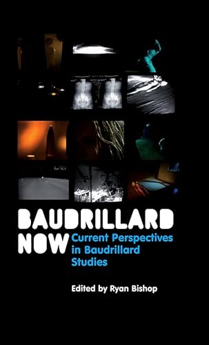 Baudrillard Now: Current Perspectives in Baudrillard Studies (Theory Now)