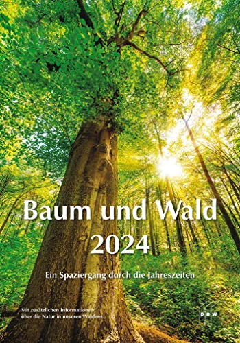 Baum und Wald 2024: Ein Spaziergang durch die Jahreszeiten von DRW-Verlag