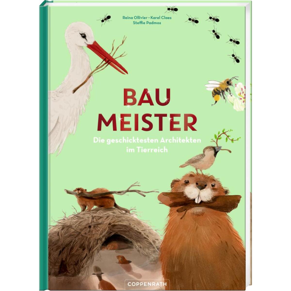 Baumeister Baumeister von Coppenrath F