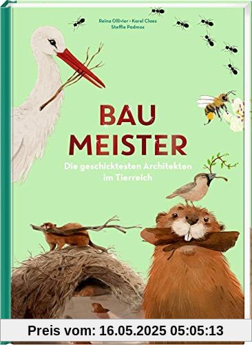 Baumeister: Die geschicktesten Architekten im Tierreich