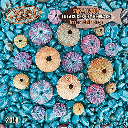 Beach and Sea/Strand und Meer 2024: Kalender 2024 (Artwork Edition) von Tushita PaperArt