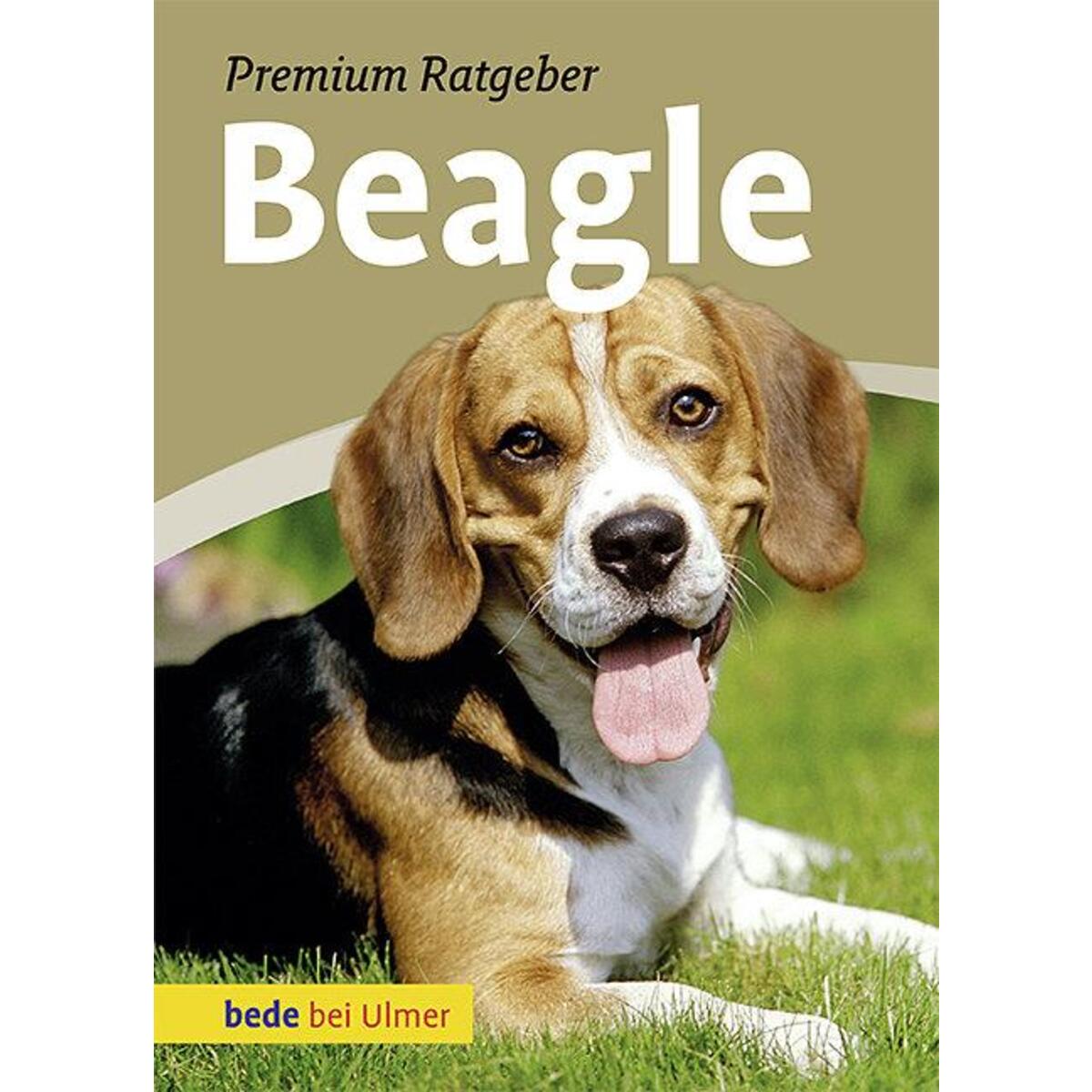 Beagle von Ulmer Eugen Verlag