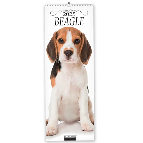 Beagle. Calendario 2025. Long Beagle. Calendario 2025. Long von Sprea Editori