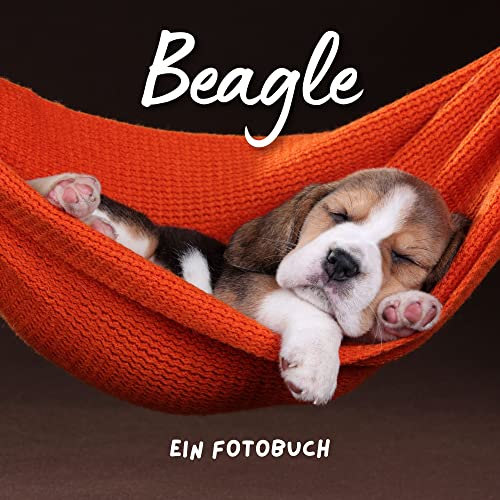 Beagle: Ein Fotobuch