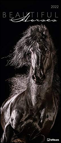 Beautiful Horses 2022 - Foto-Kalender - Wand-Kalender - 30x70 von teNeues Calendar & Statio