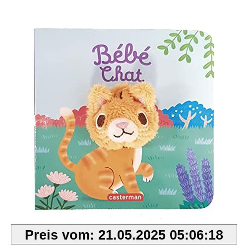 Bébé chat