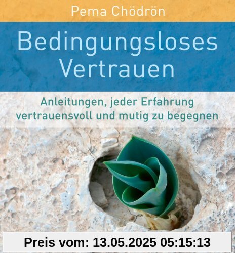 Bedingungsloses Vertrauen (Anleitungen, jeder Erfahrung vertrauensvoll und mutig zu begegnen): Jeder Erfahrung mit Vertrauen und Mut begegnen