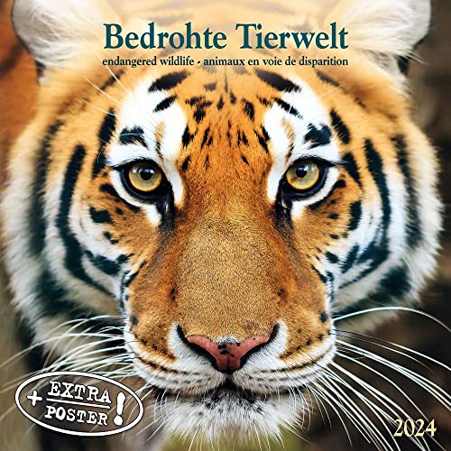 Bedrohte Tierwelt 2024: Kalender 2024 (Artwork Edition) von Tushita PaperArt