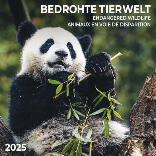 Bedrohte Tierwelt 2025: Kalender 2025 (Artwork Edition) von Tushita PaperArt