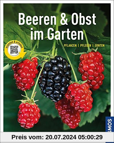 Beeren und Obst im Garten: gestalten - pflanzen - ernten (Mein Garten)