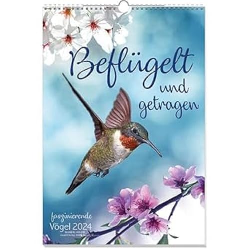 Beflügelt und getragen 2024: Vögel