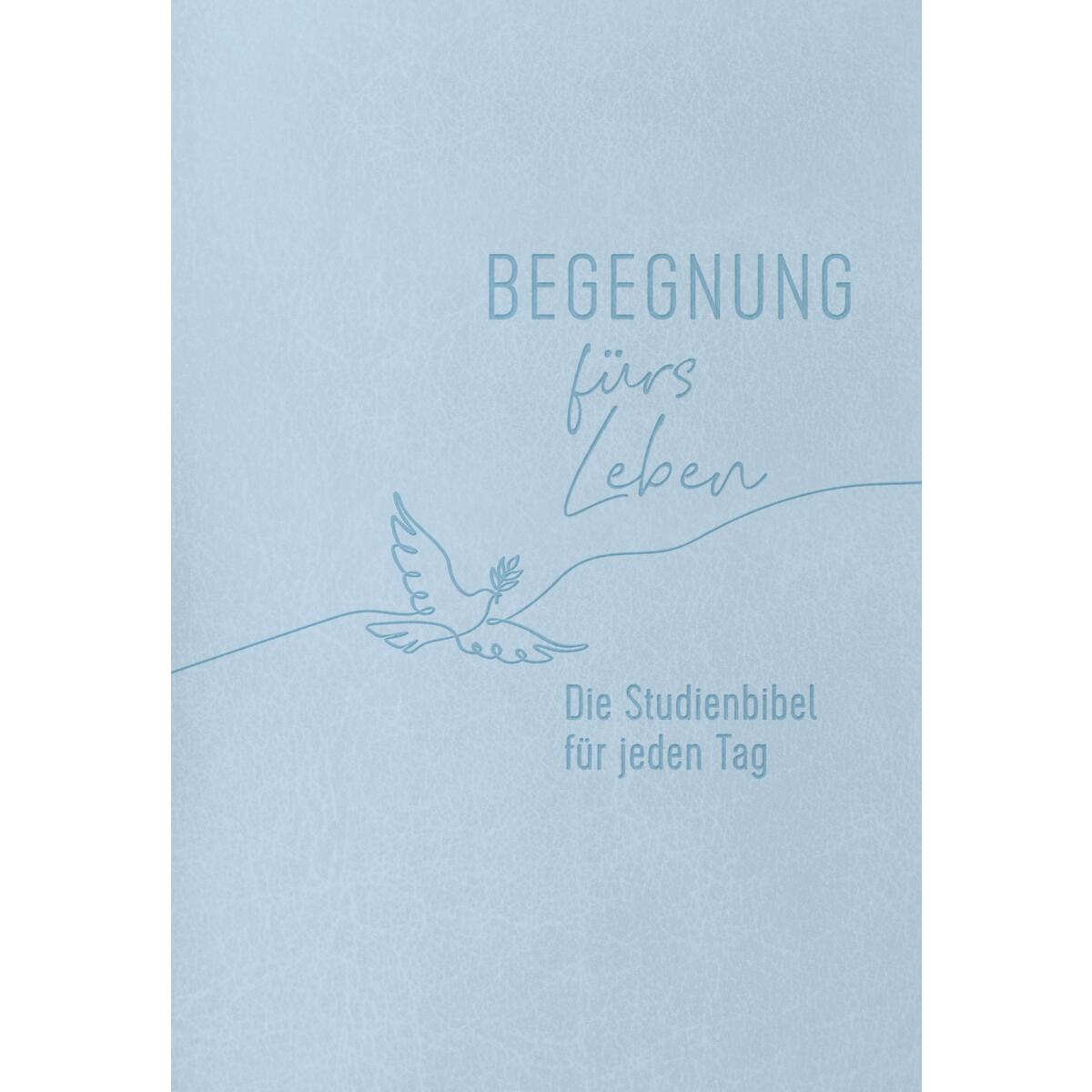 Begegnung fürs Leben, Kunstleder von SCM Brockhaus, R.