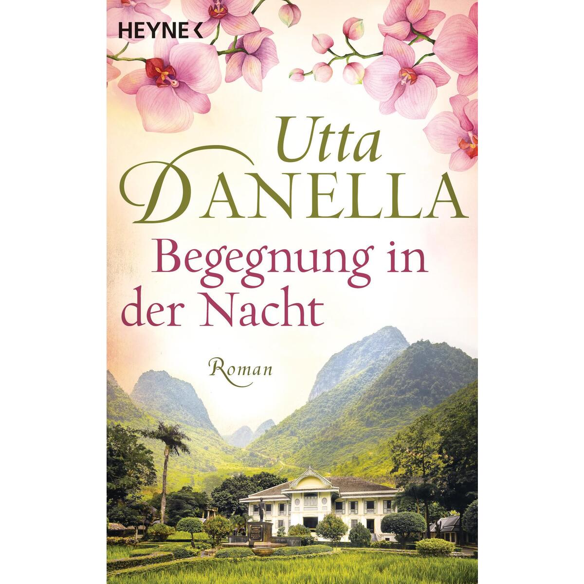 Begegnung in der Nacht von Heyne Verlag