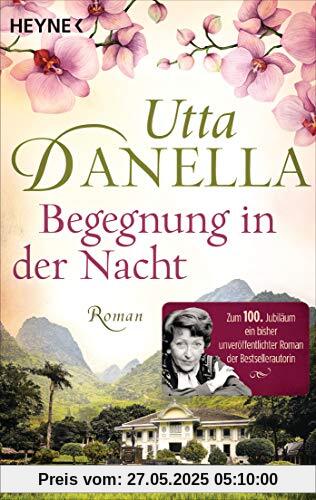 Begegnung in der Nacht: Roman Begegnung in der Nacht: Roman
