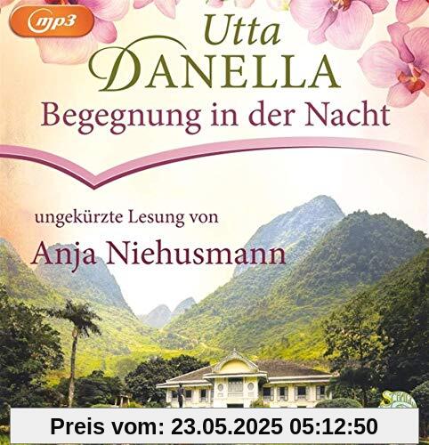 Begegnung in der Nacht: Schall&Wahn