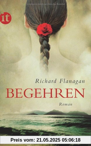 Begehren: Roman (insel taschenbuch)