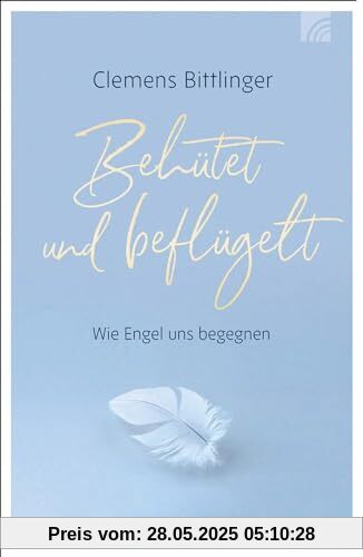 Behütet & beflügelt: Wie Engel uns begegnen (Kleine Grüsse)