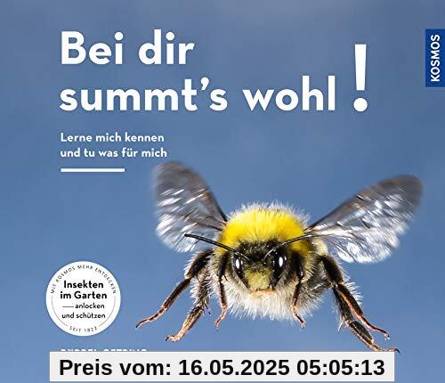 Bei Dir summts wohl