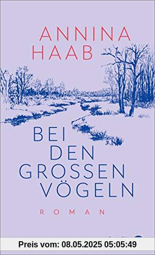 Bei den großen Vögeln: Roman