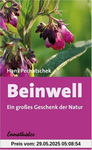 Beinwell: Das große Geschenk der Natur. Eine hervorragende Heilpflanze