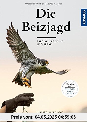 Beizjagd: Vor und nach der Falknerprüfung