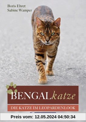 Bengalkatze: Die Katze im Leopardenlook