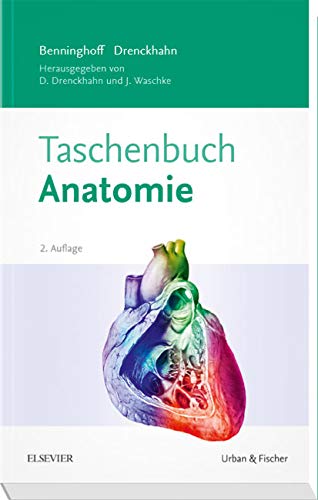 Benninghoff Taschenbuch Anatomie von Elsevier