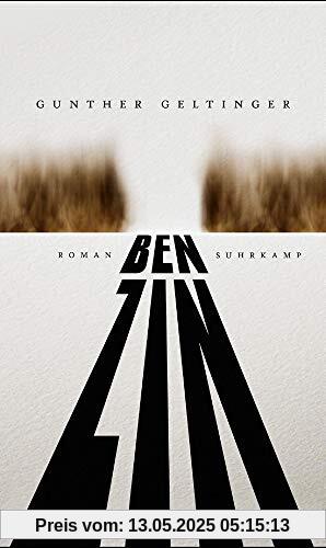 Benzin: Roman