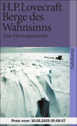 Berge des Wahnsinns: Eine Horrorgeschichte (suhrkamp taschenbuch)