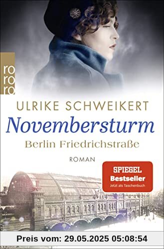 Berlin Friedrichstraße: Novembersturm: Eine historische Familiensaga