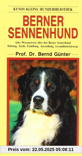 Berner Sennenhund
