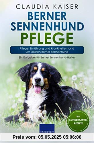 Berner Sennenhund Pflege: Pflege, Ernährung und Krankheiten rund um Deinen Berner Sennenhund