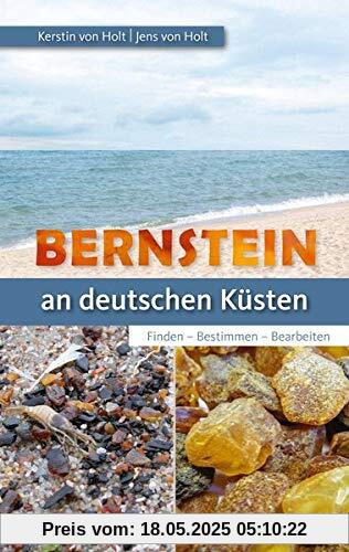 Bernstein an unseren Küsten: Finden – Bestimmen – Bearbeiten