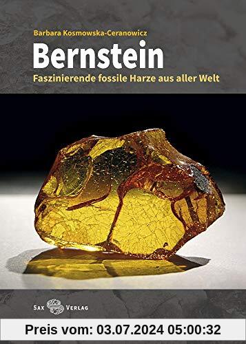 Bernstein: Faszinierende fossile Harze aus aller Welt