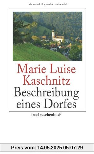 Beschreibung eines Dorfes (insel taschenbuch)