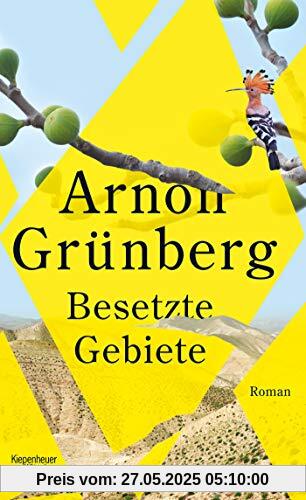 Besetzte Gebiete: Roman