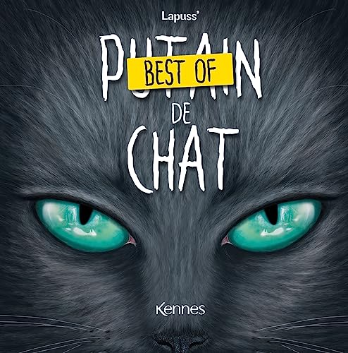 Best of Putain de chat von KENNES EDITIONS