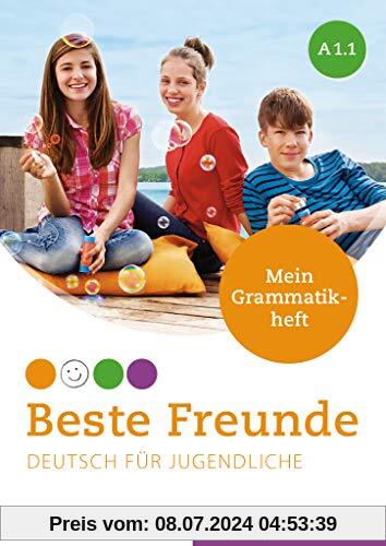 Beste Freunde A1/1: Deutsch für Jugendliche.Deutsch als Fremdsprache / Mein Grammatikheft