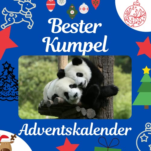 Bester Kumpel: Adventskalender von 27 Amigos