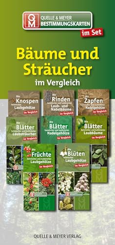 Bestimmungskarten-Set „Bäume und Sträucher“ (Quelle & Meyer Bestimmungskarten)